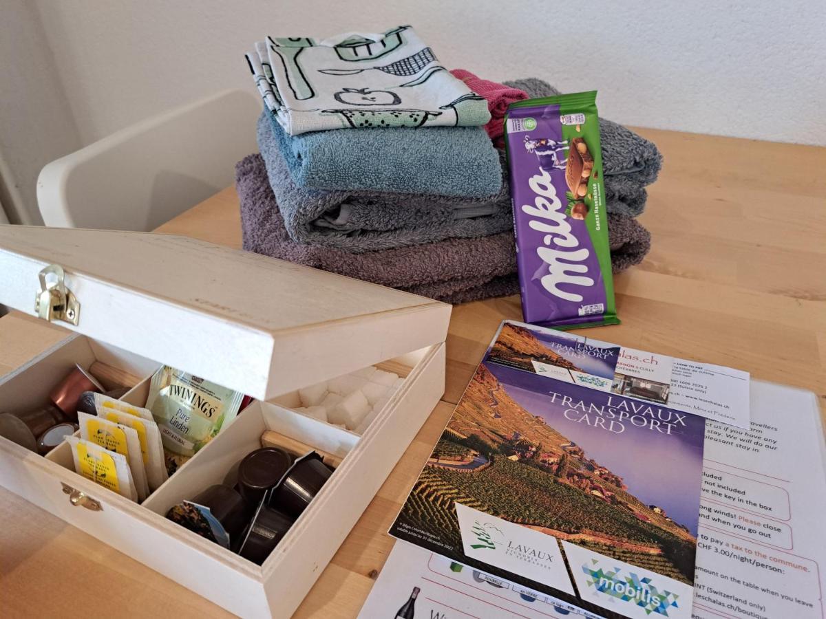 "Les Echalas" Appartement Independant Avec Cuisine En Lavaux Unesco Chexbres Kültér fotó