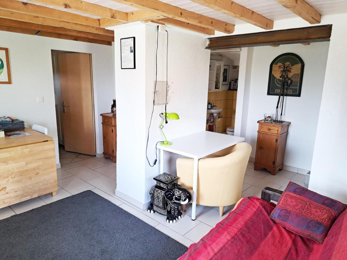 "Les Echalas" Appartement Independant Avec Cuisine En Lavaux Unesco Chexbres Kültér fotó